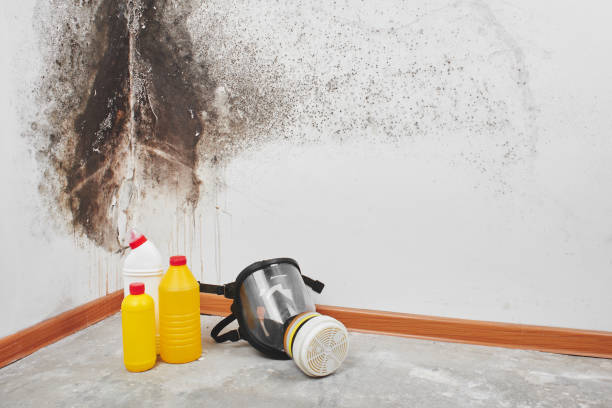 Best Crawl Space Mold Removal  in Altoona, WI