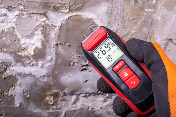 Best Mold Testing  in Altoona, WI