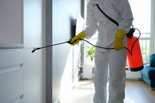 Best Mold Cleaning Services  in Altoona, WI